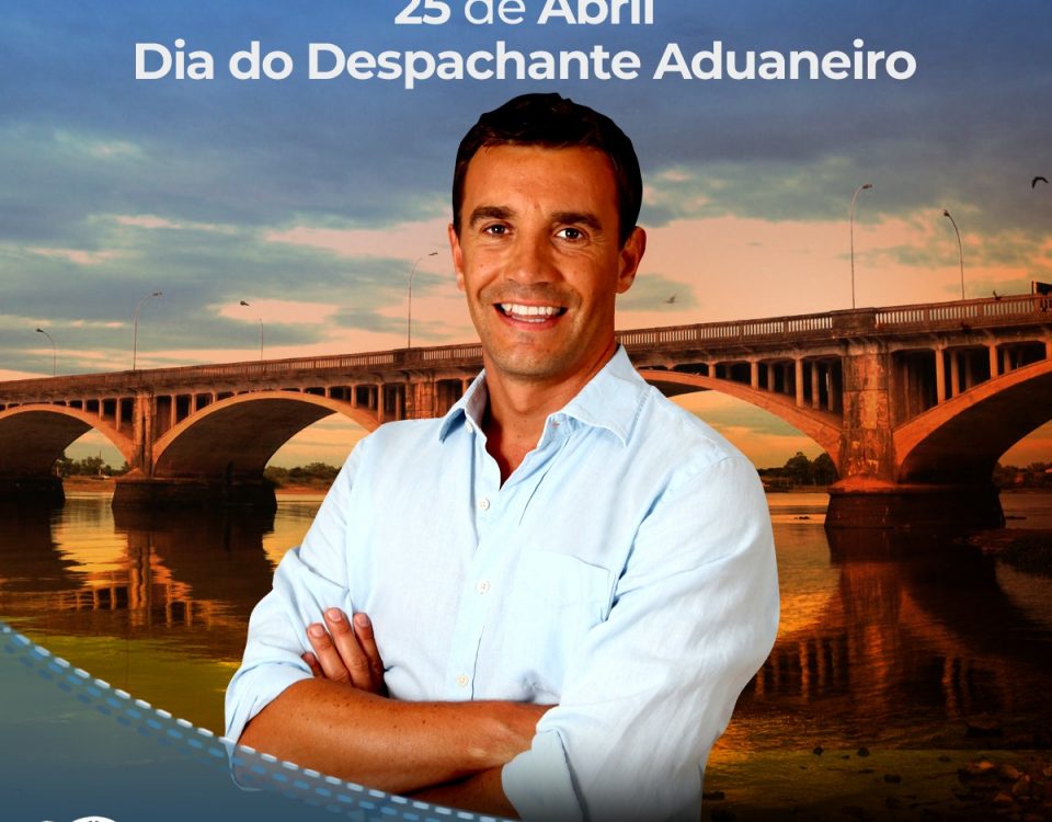 Despachante aduaneiro